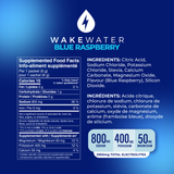 Blue Raspberry Electrolytes Tub